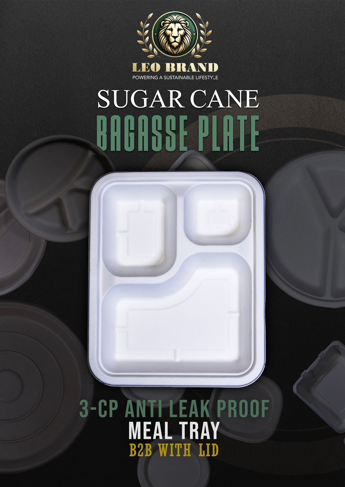 Premium Natural Sugarcane (Bagasse) Products