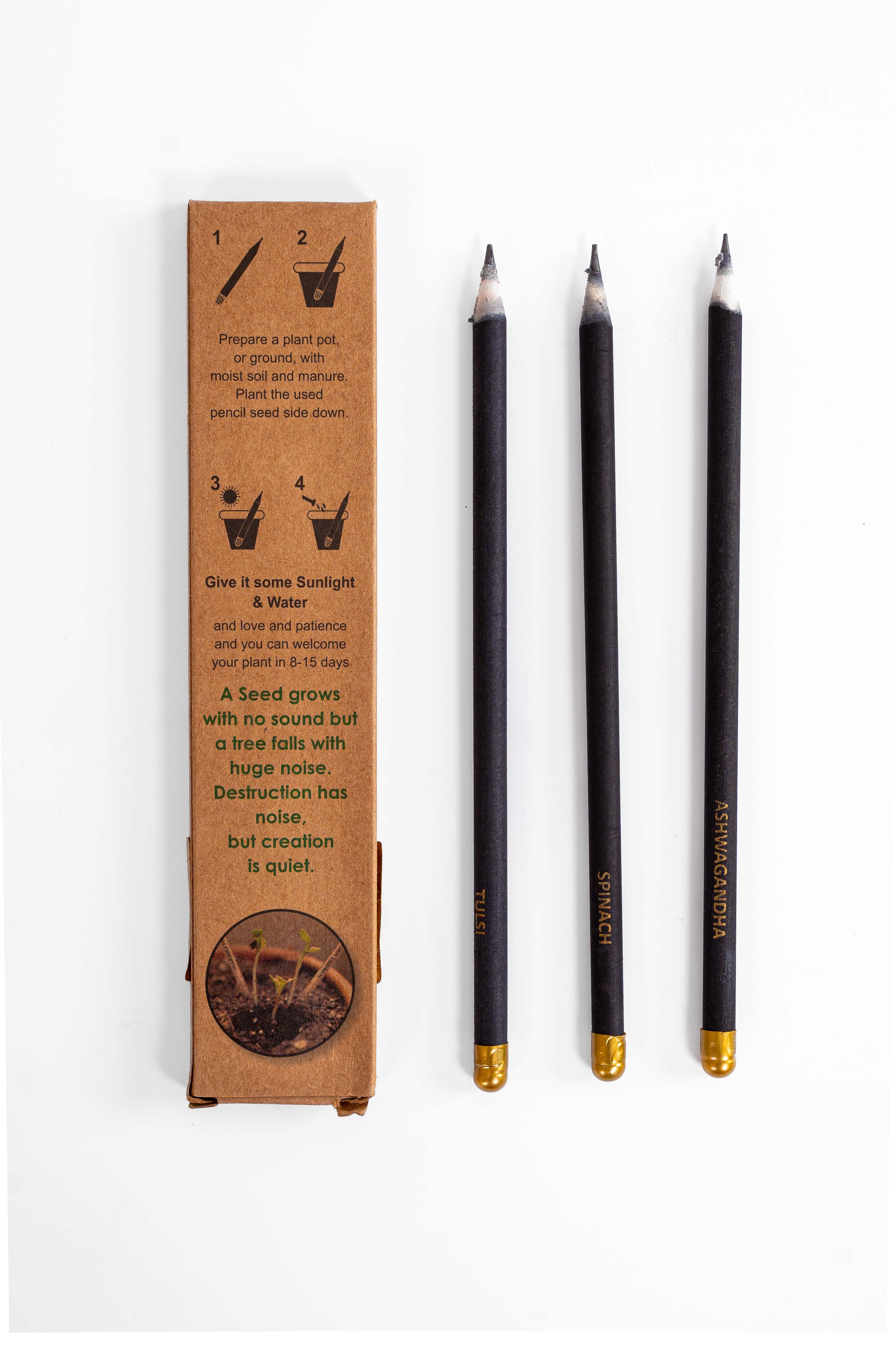 Black Paper Seed Pencil – Eco-Friendly Plantable Pencil (Pack of 10)