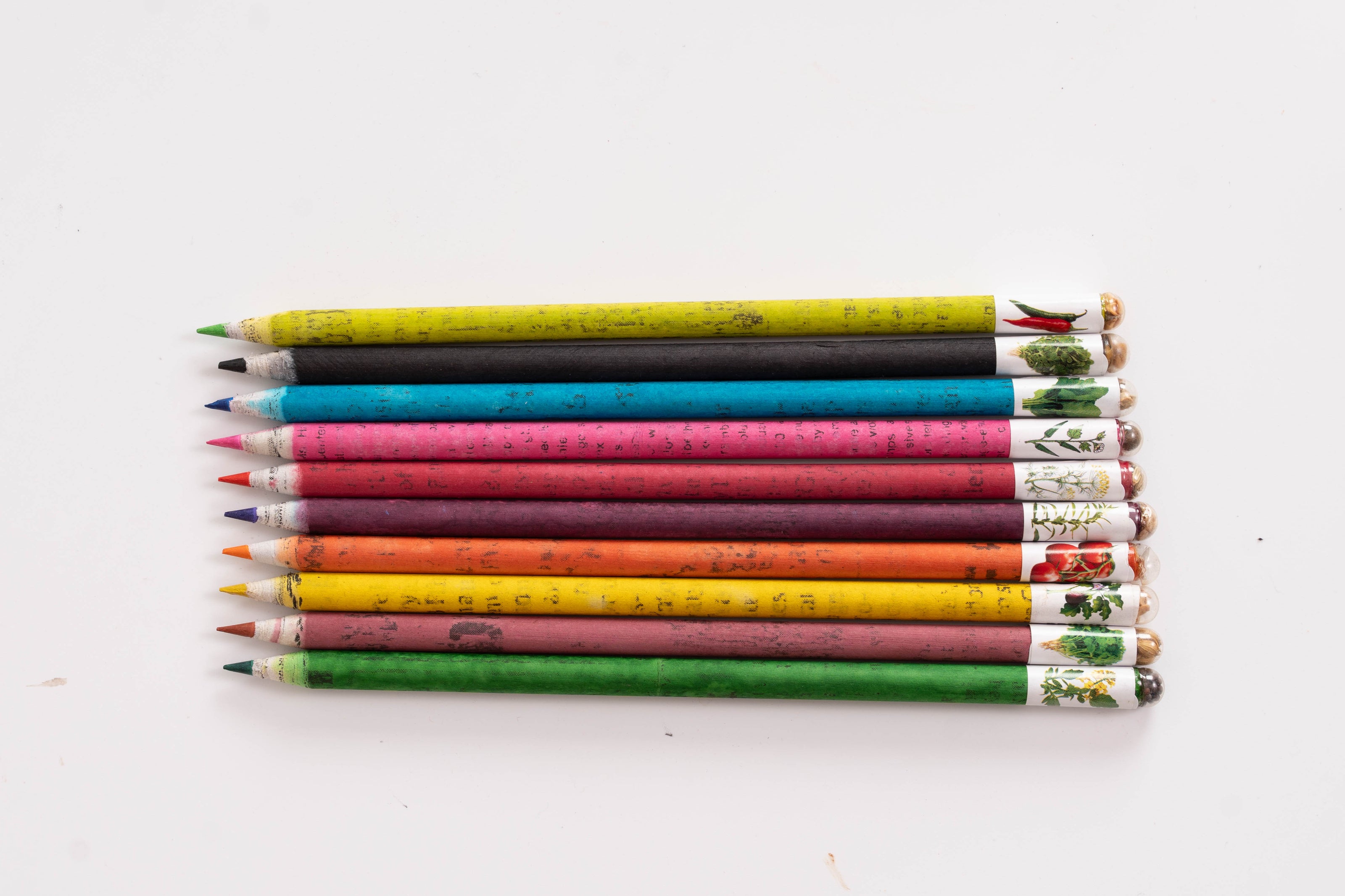 Colour Paper Colour Lead Seed Pencil (Box – Pack of 10)