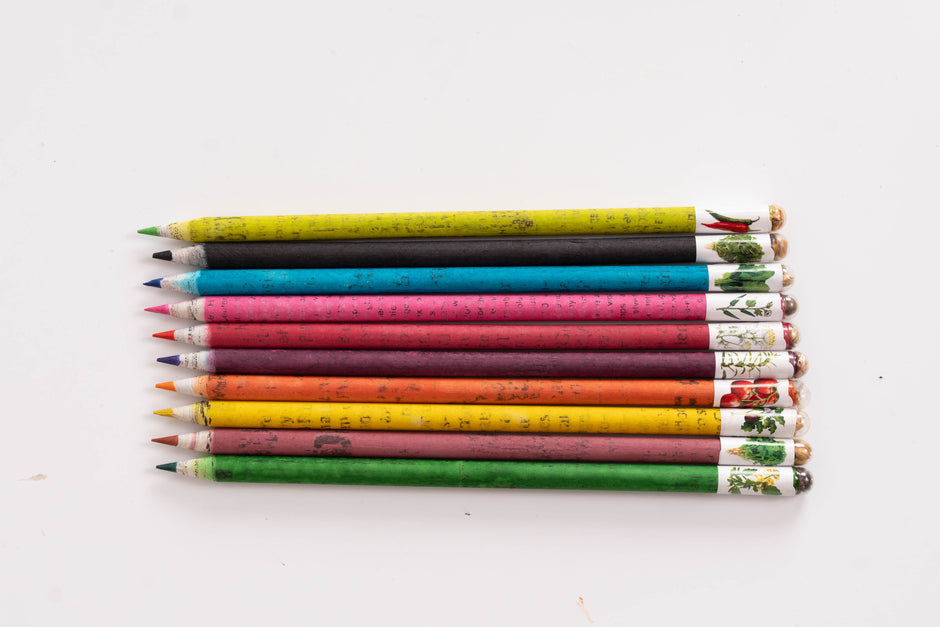 Colour Paper Colour Lead Seed Pencil (Box – Pack of 10)