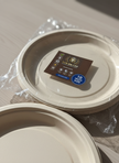 10 inch Premium Sugarcane Plate